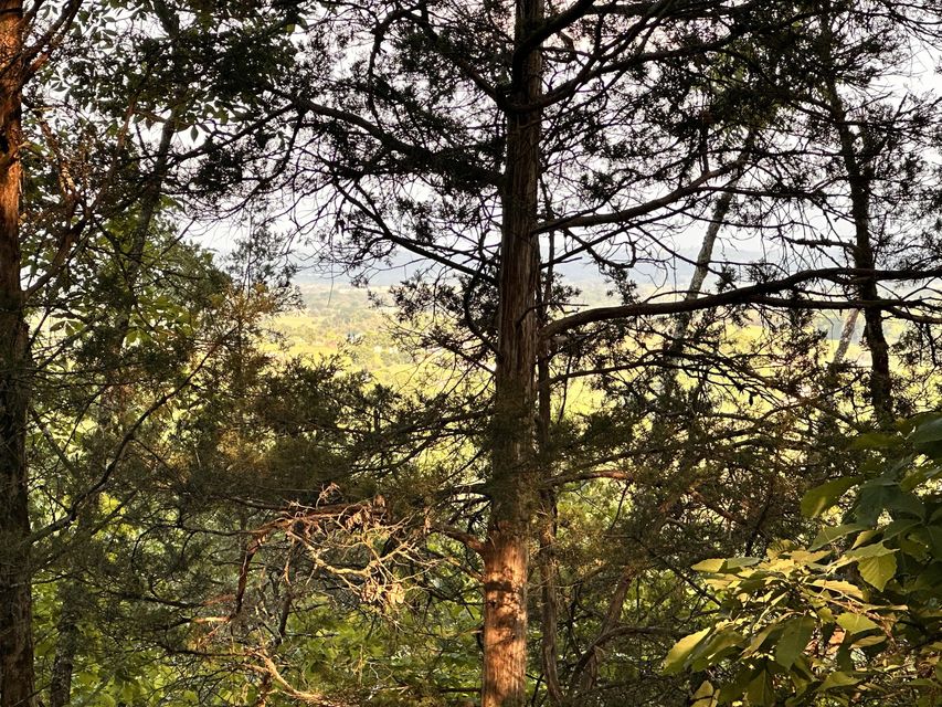 Photo #9: Tbd Mount Hope Road