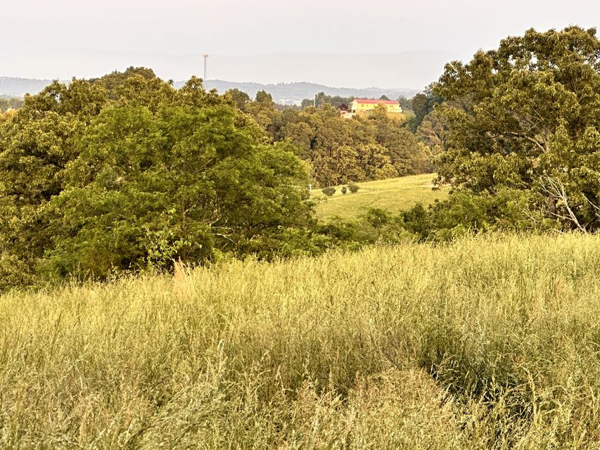 Photo #2: Tbd Mount Hope Road