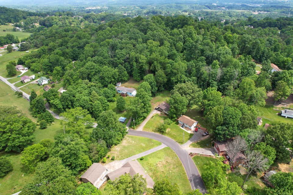 Photo #54: 300 Larkspur Drive