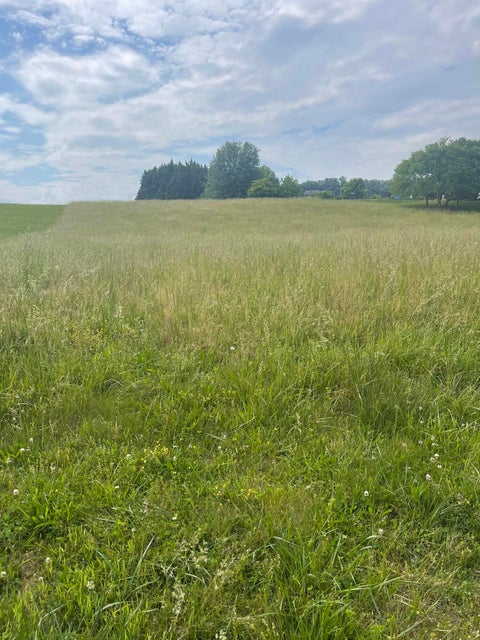 Photo #2: Tbd Waterstone Circle