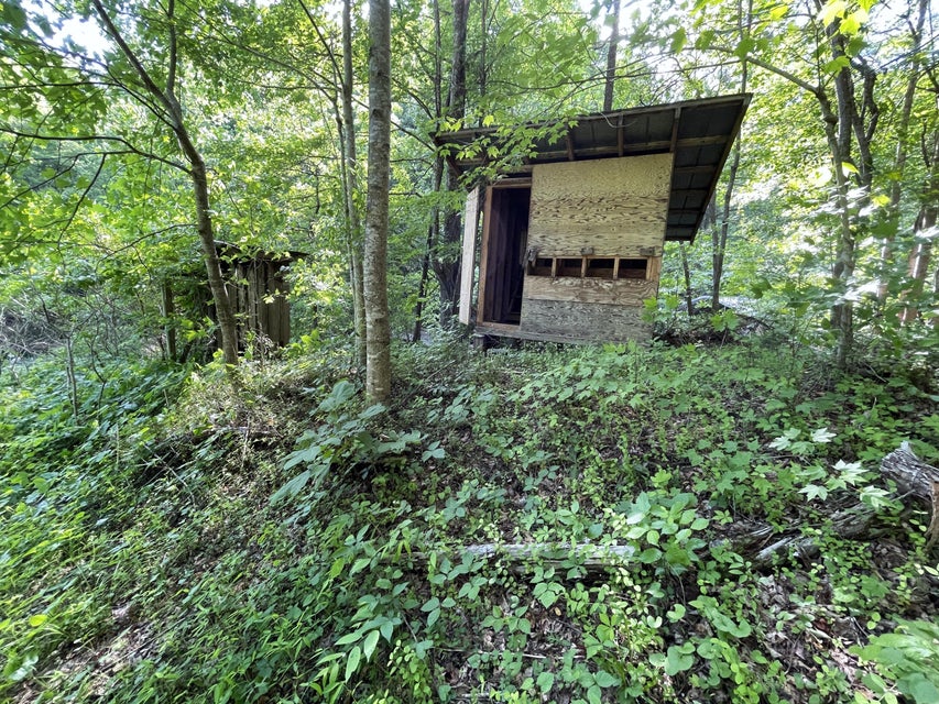 Photo #40: 781 Messer Place Road