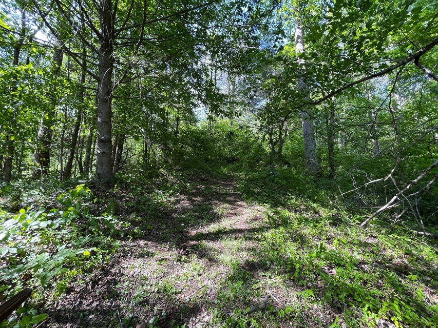 Photo #41: 781 Messer Place Road