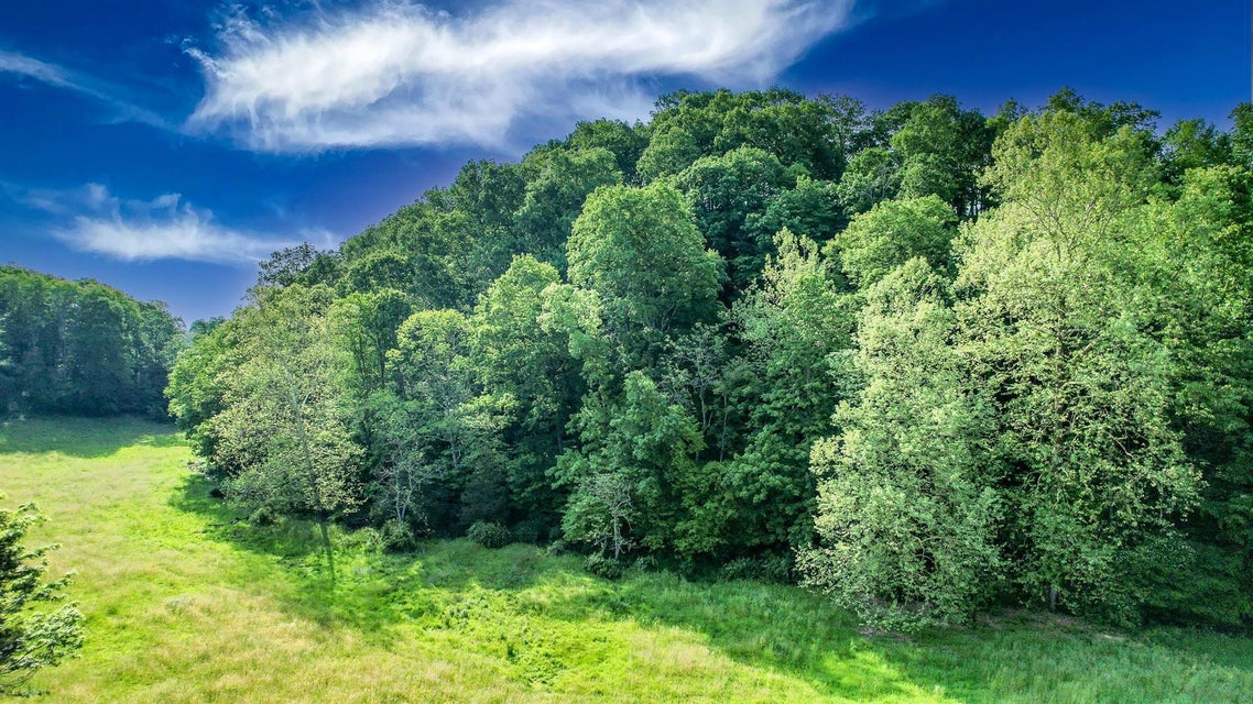 Photo #14: 74.6 Ac Titans Trail