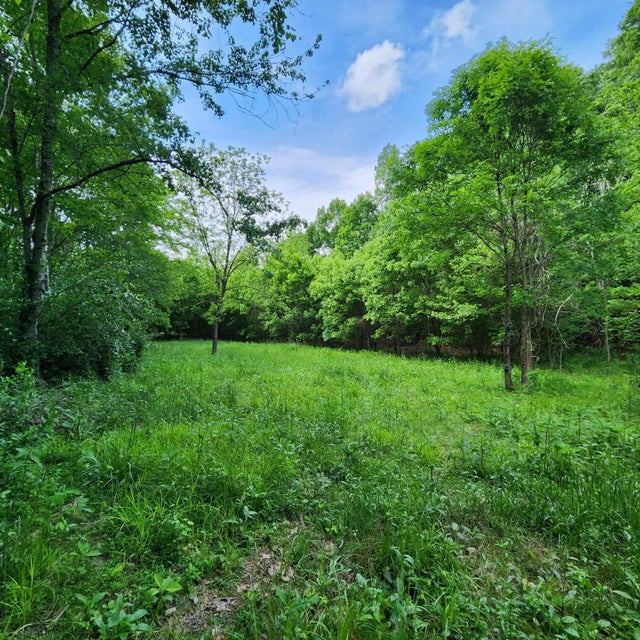 Photo #9: 0 Wayfield Drive Drive
