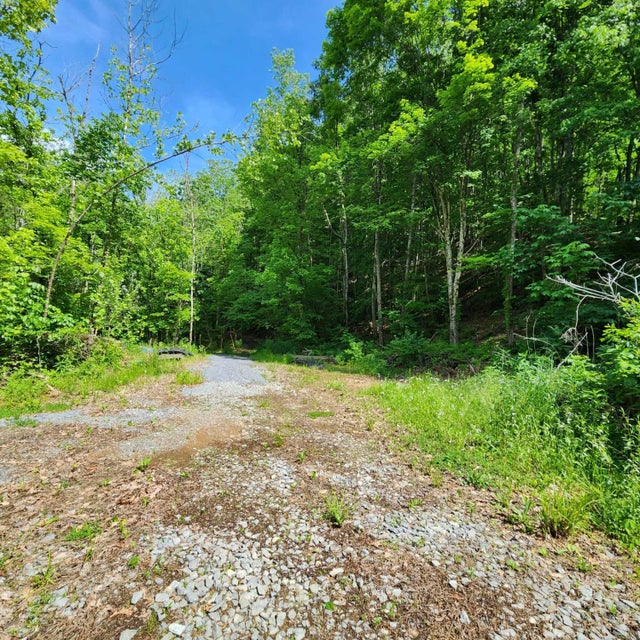 Photo #17: 0 Wayfield Drive Drive