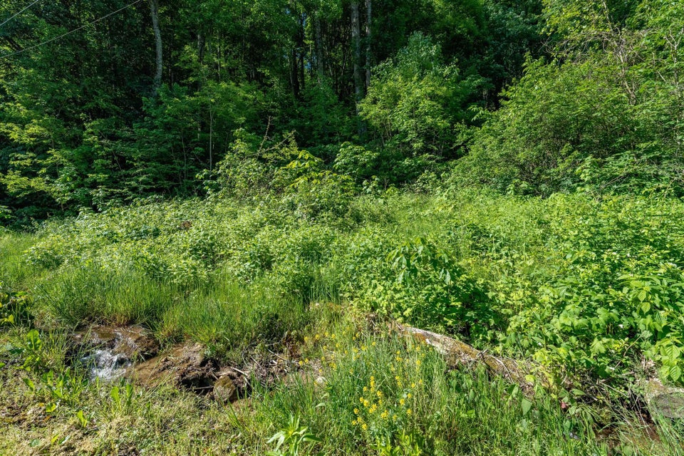 Photo #10: Tbd L Snyder Lane