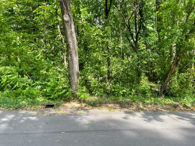 Photo #3: 1205 Sharondale Avenue