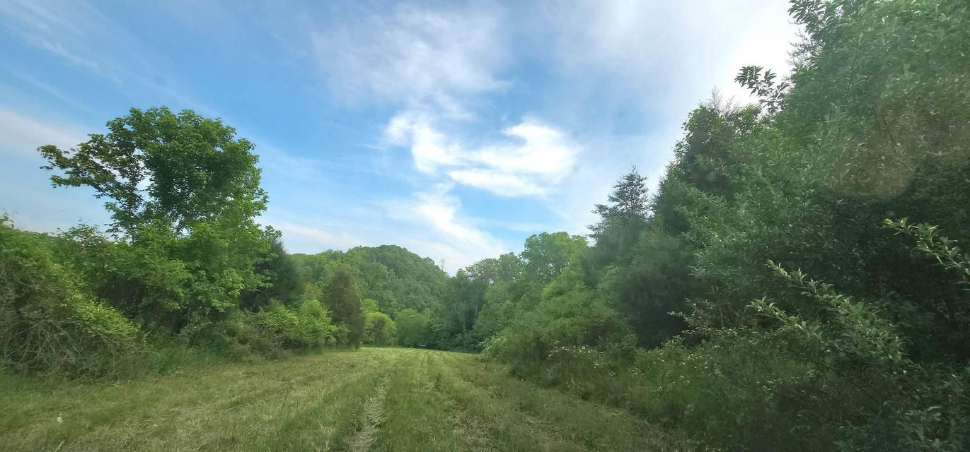 Photo #5: 6544 Lone Star Road