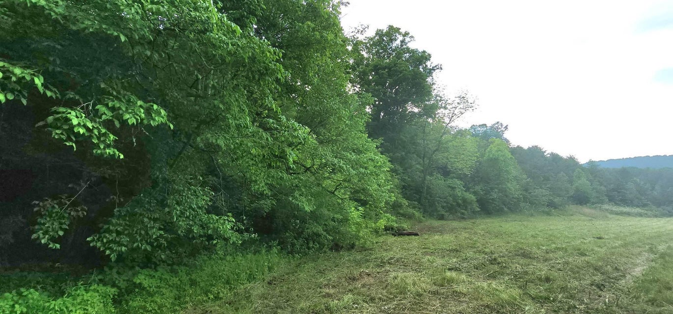 Photo #7: 6544 Lone Star Road