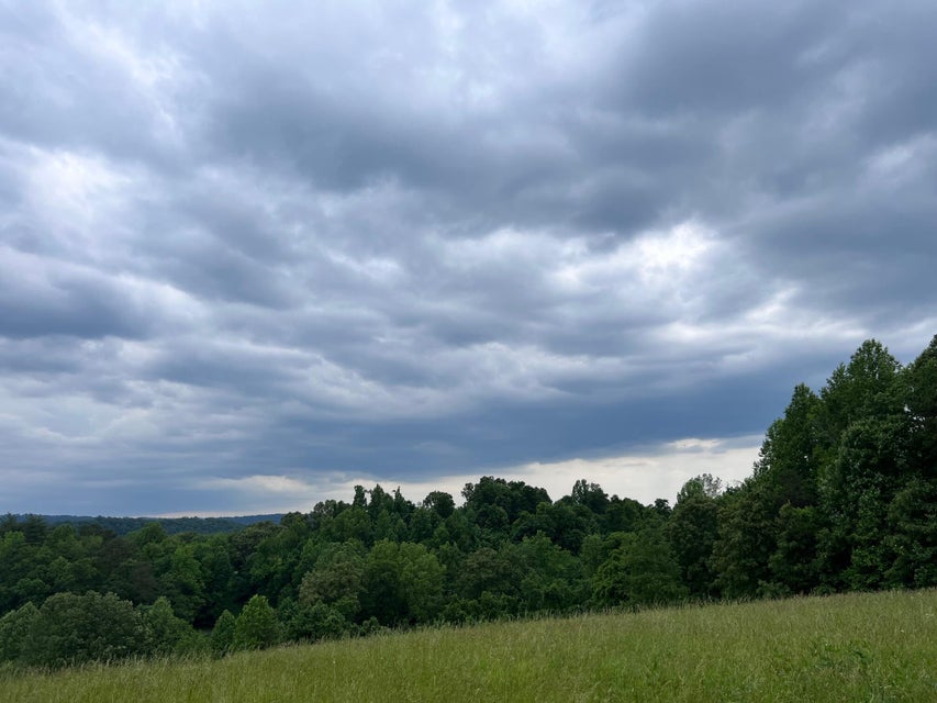 Photo #6: 00 Williams Road