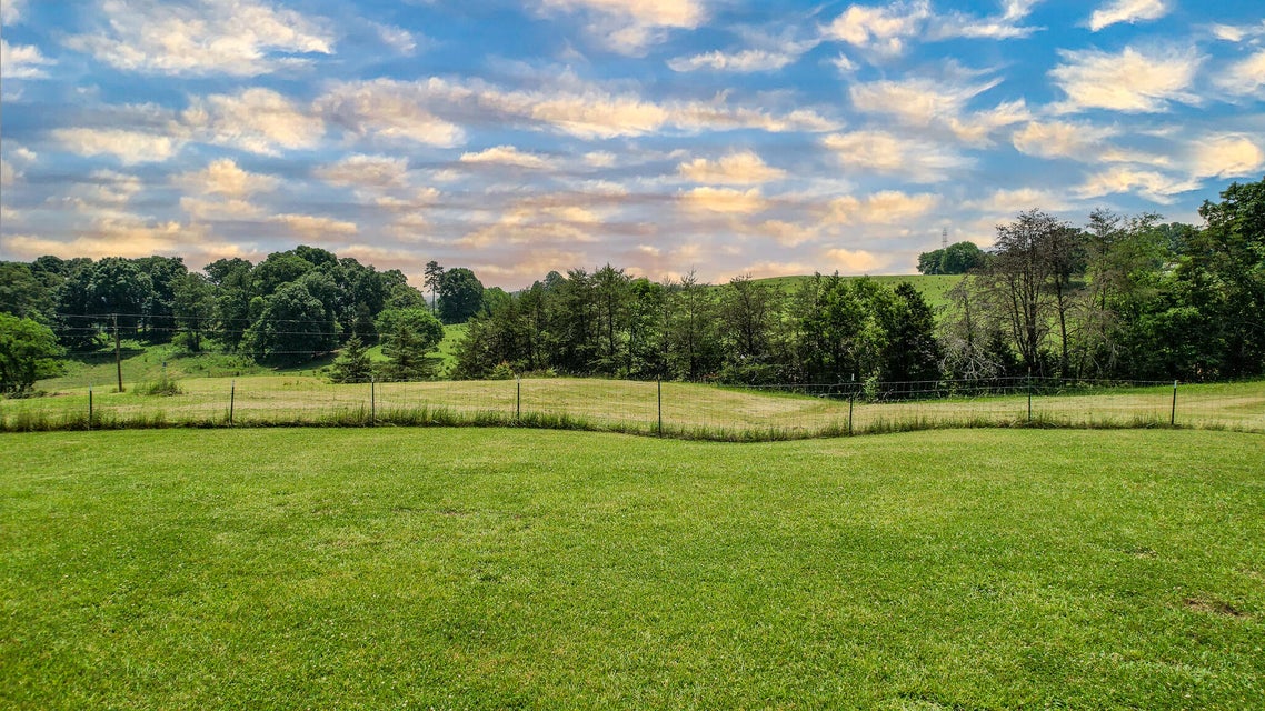 Photo #12: 1604 Bays Mountain Rd