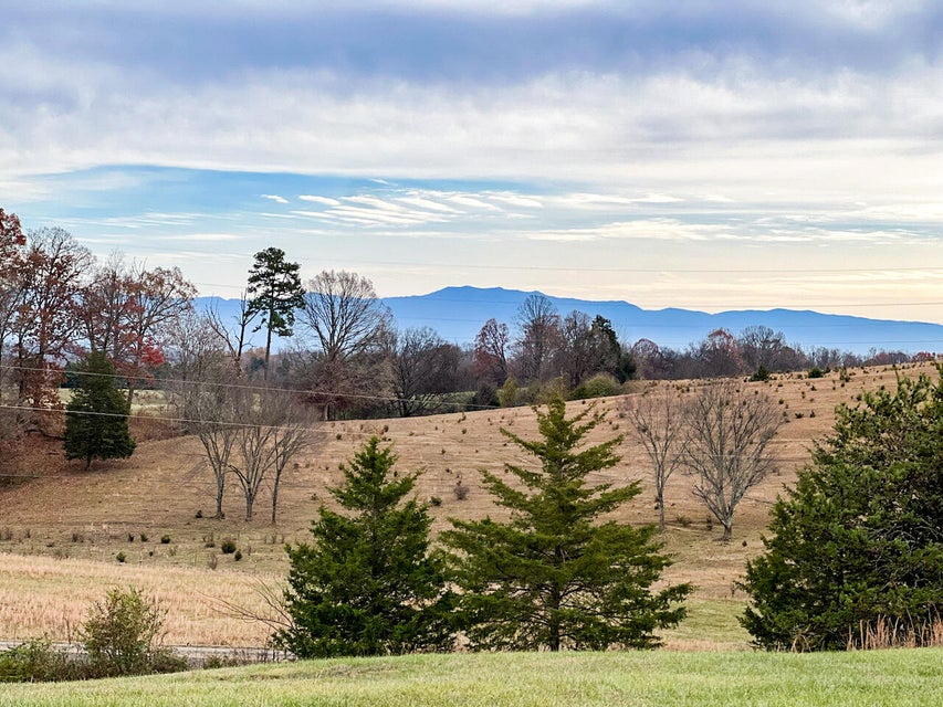 Photo #7: 1604 Bays Mountain Rd