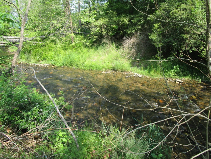 Photo #6: 8455 Highway 19e