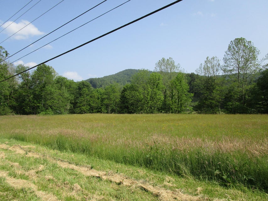 Photo #9: 8455 Highway 19e