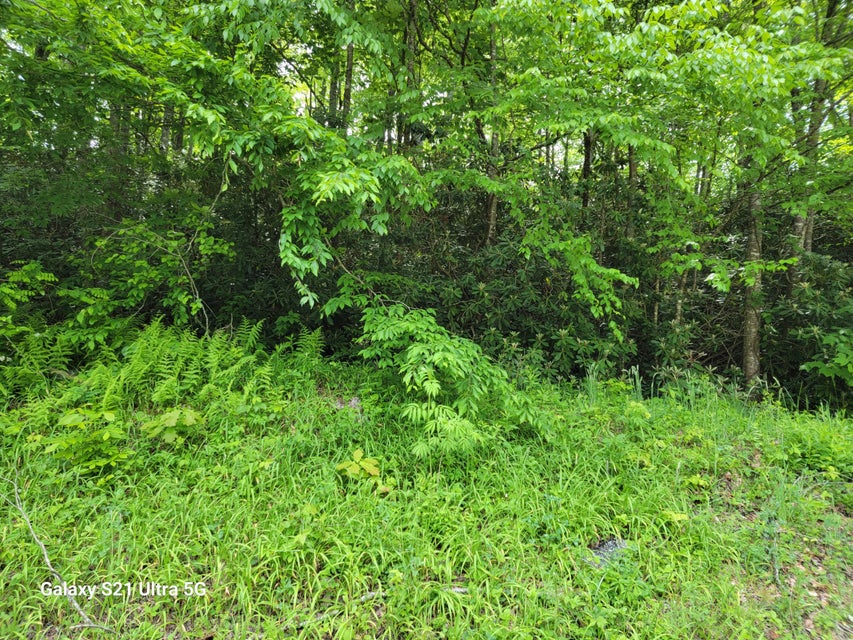 Photo #2: 00 Arney Lane