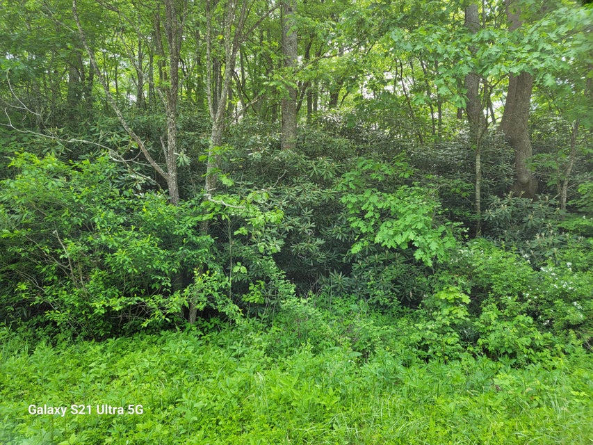 Photo #3: 00 Arney Lane