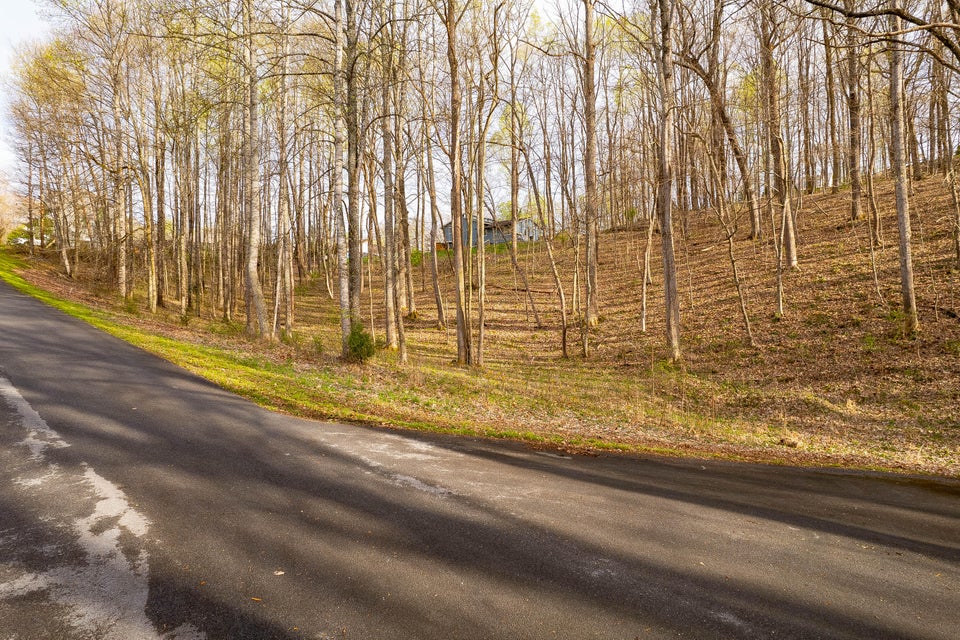 Photo #20: Tbd Victor Drive