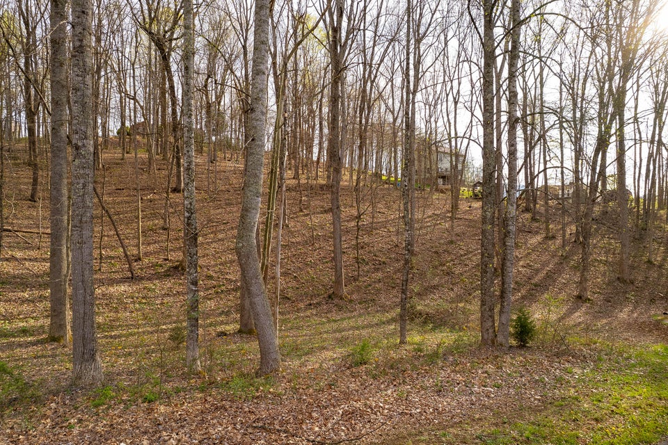 Photo #22: Tbd Victor Drive