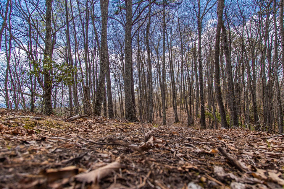 Photo #34: 760 Walkers Creek Road