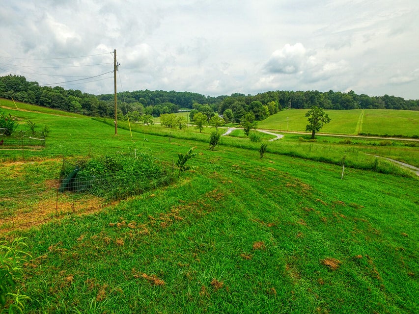Photo #10: 578 Burem Road