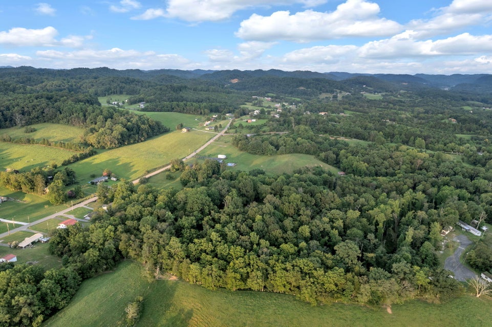 Photo #37: 3685 Bloomingdale Road