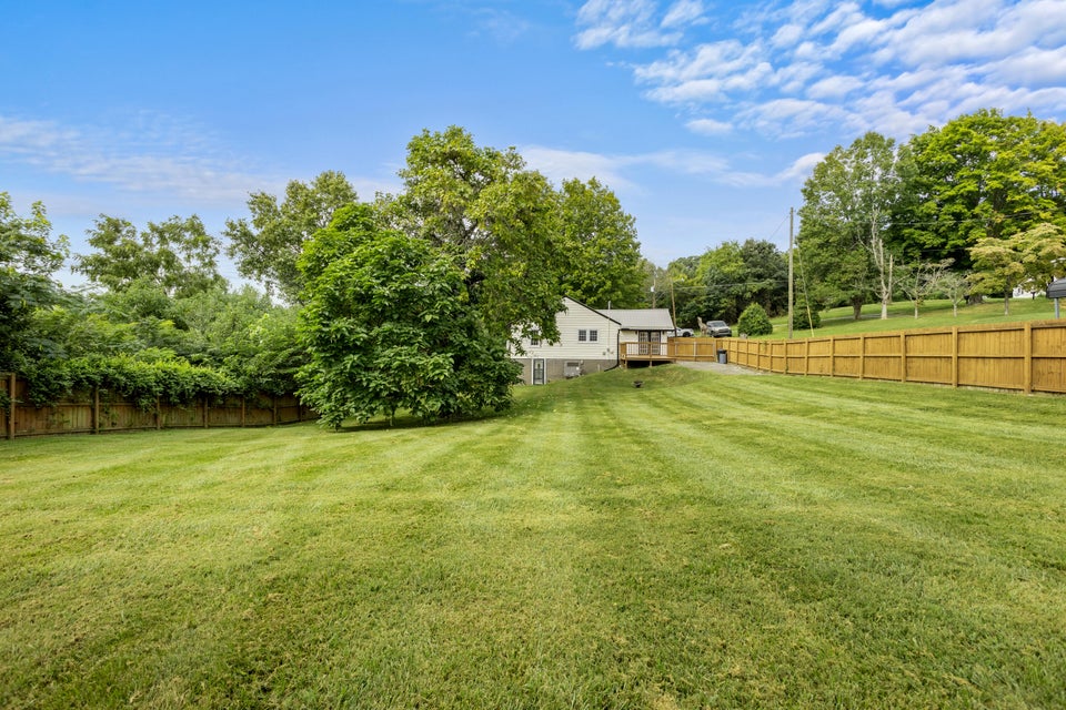 Photo #9: 338 Shelby Avenue