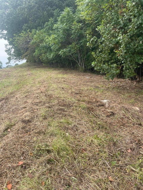 Photo #6: Lot 43 Chimney Top Lane