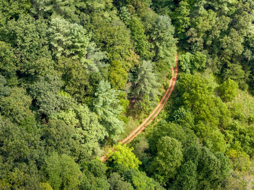 Photo #23: 201 Mcinturff Springs Road