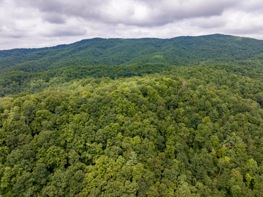 Photo #28: 201 Mcinturff Springs Road
