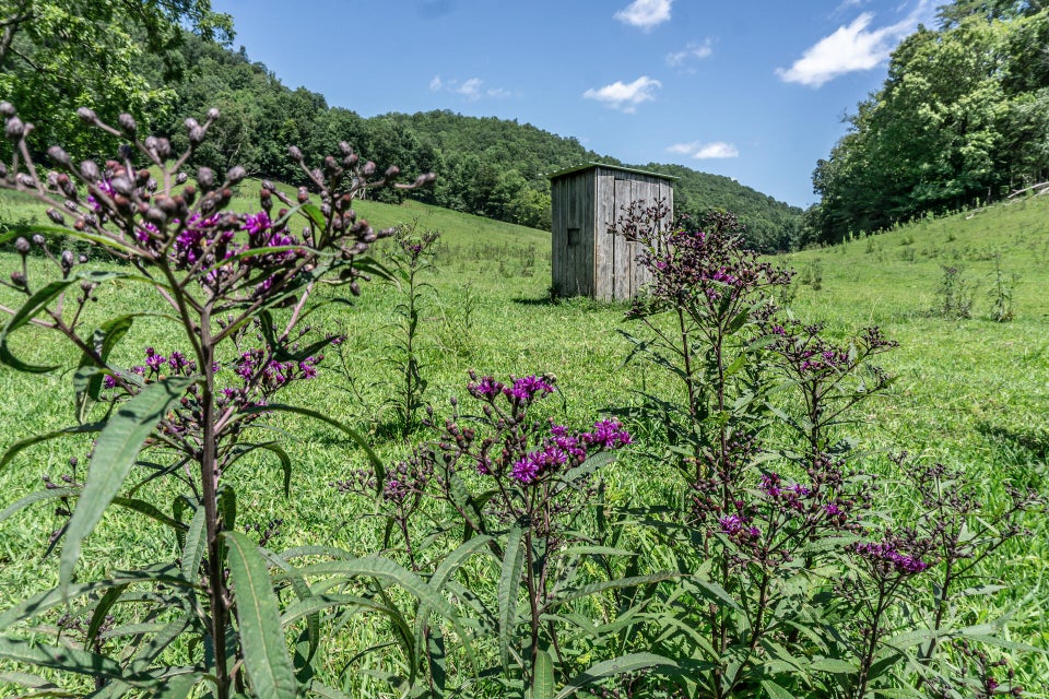 Photo #42: 869 Caney Valley Loop