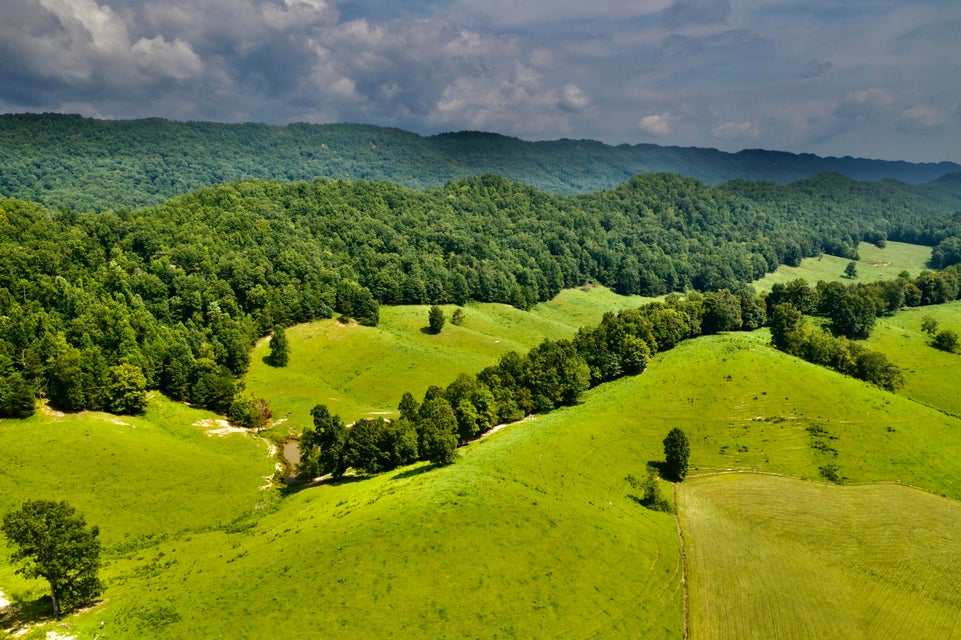 Photo #61: 869 Caney Valley Loop