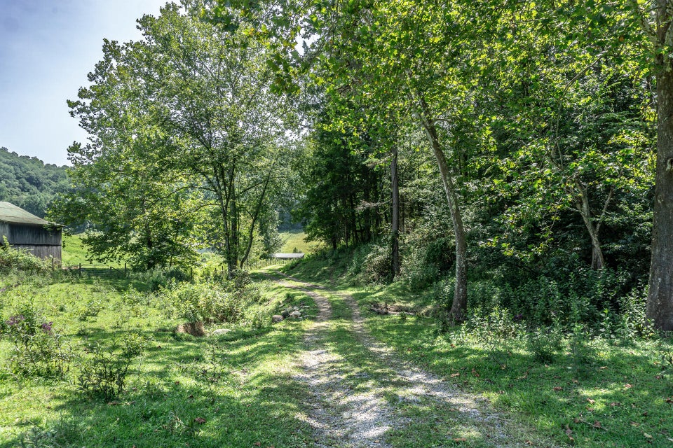 Photo #84: 869 Caney Valley Loop