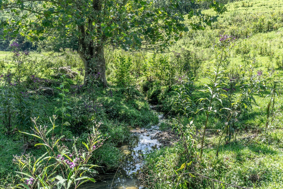 Photo #86: 869 Caney Valley Loop