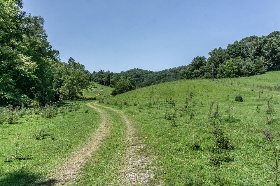 Photo #87: 869 Caney Valley Loop