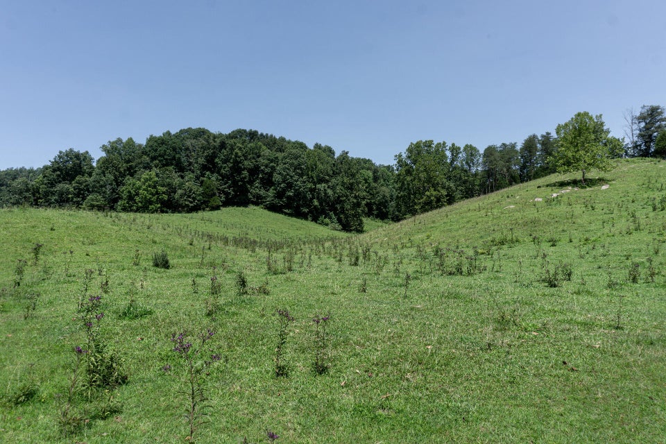 Photo #88: 869 Caney Valley Loop