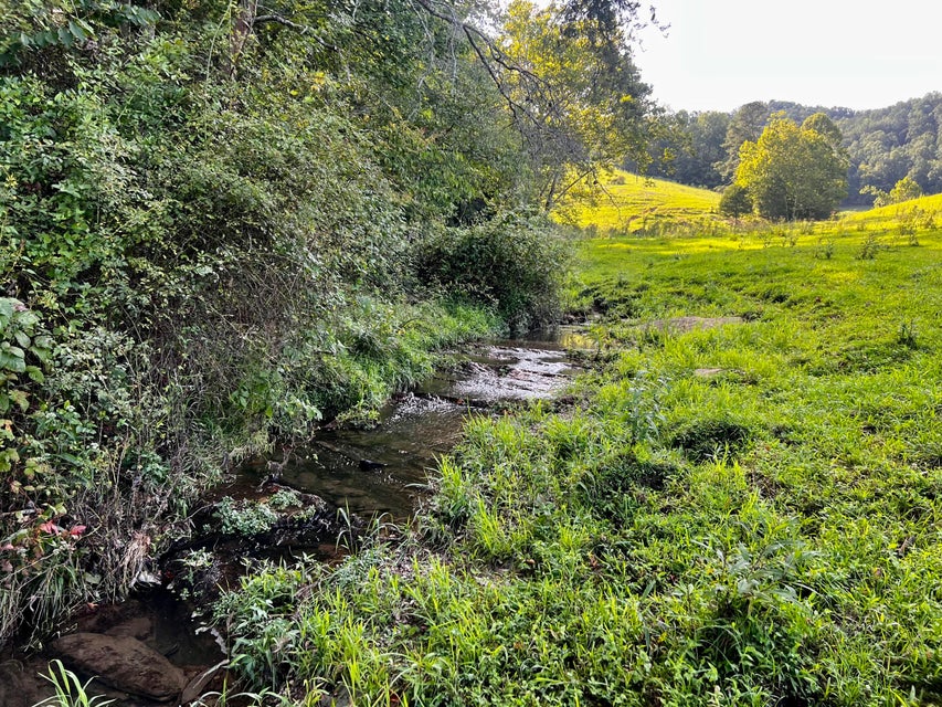 Photo #91: 869 Caney Valley Loop
