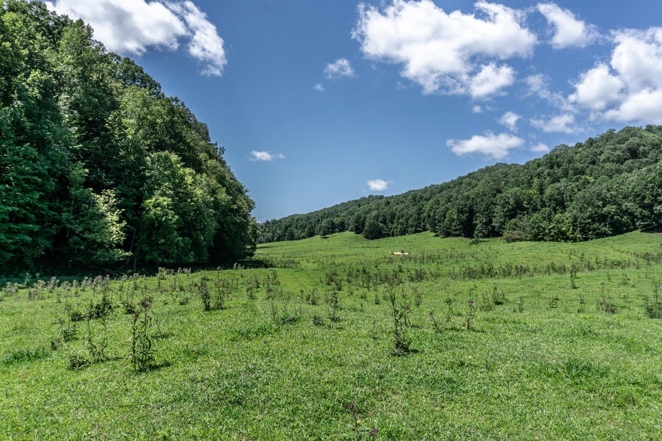 Photo #94: 869 Caney Valley Loop