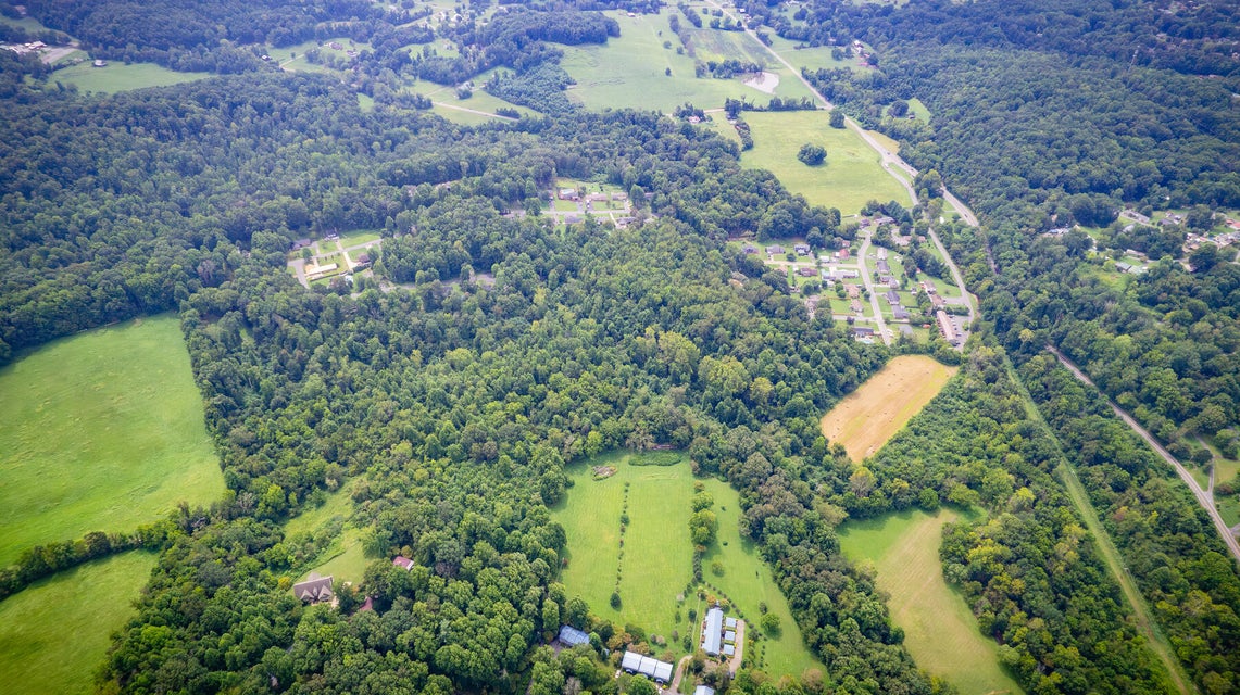 Photo #10: Tbd Old Buffalo Road