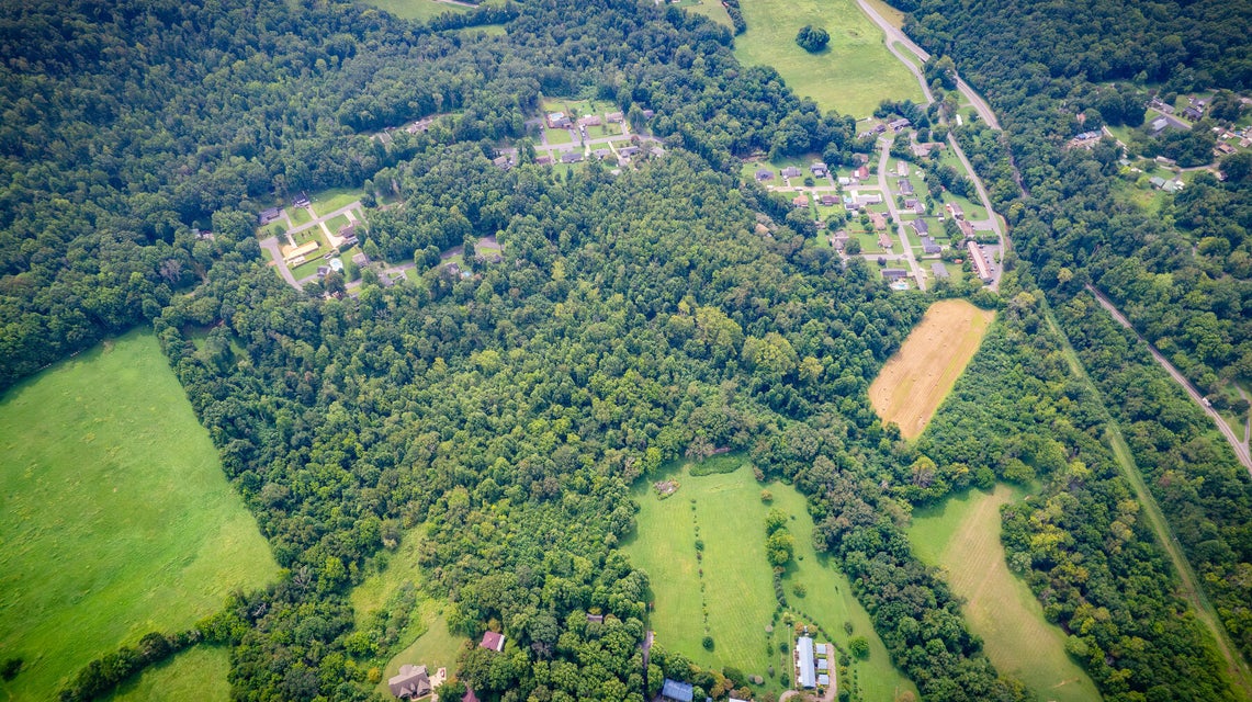 Photo #12: Tbd Old Buffalo Road