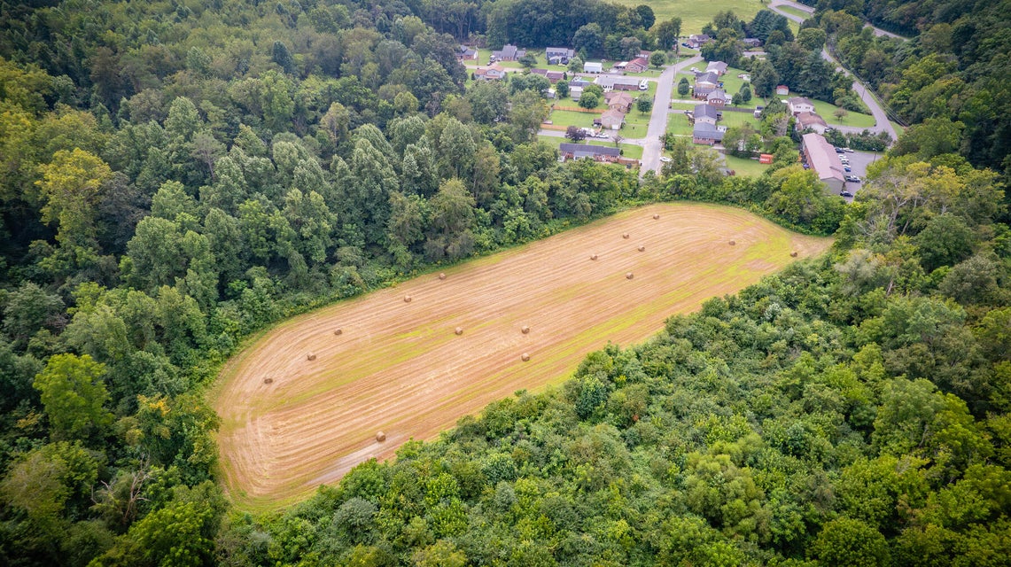 Photo #13: Tbd Old Buffalo Road