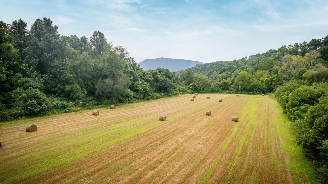 Photo #14: Tbd Old Buffalo Road