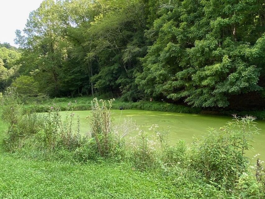 Photo #10: Tbd Backmeadows Lane