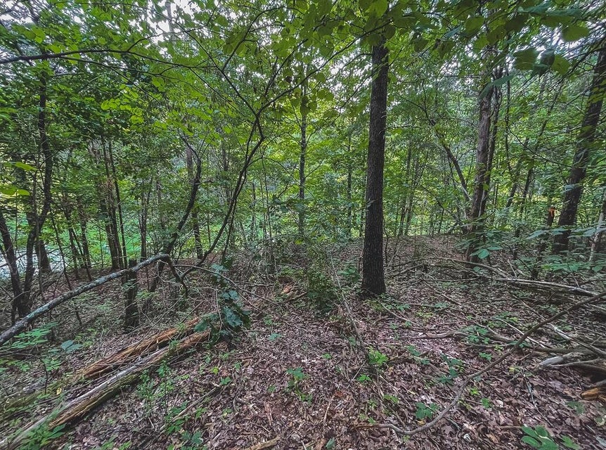 Photo #28: Lot 175 Hill Trail Drive