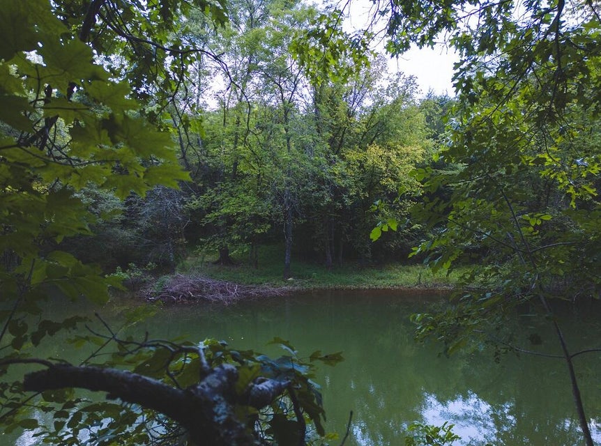 Photo #3: Lot 176 Hill Trail Drive
