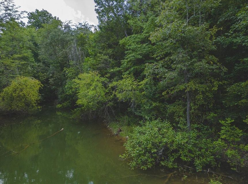 Photo #5: Lot 176 Hill Trail Drive