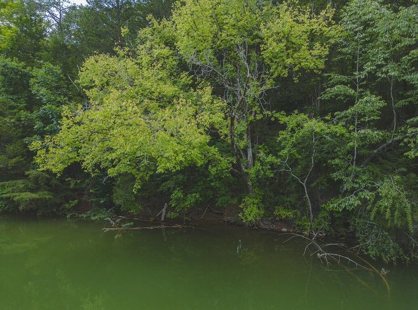 Photo #7: Lot 176 Hill Trail Drive
