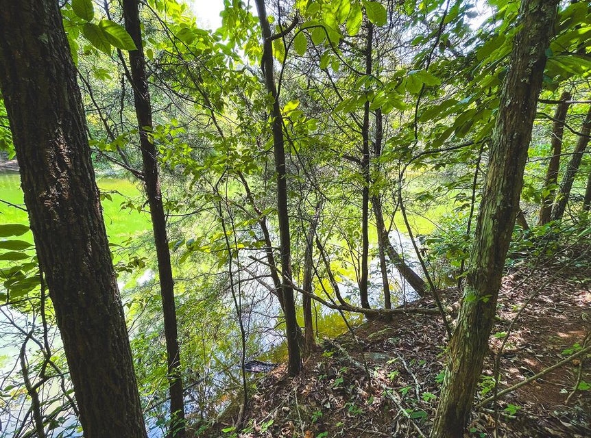 Photo #24: Lot 176 Hill Trail Drive