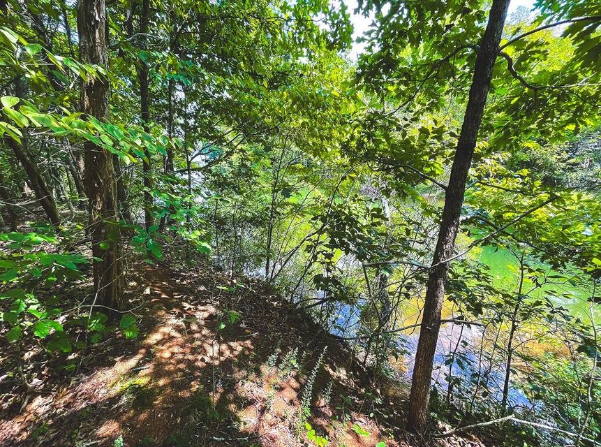 Photo #25: Lot 176 Hill Trail Drive