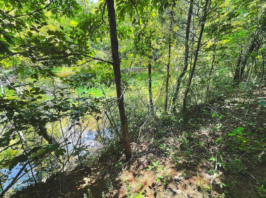 Photo #26: Lot 176 Hill Trail Drive