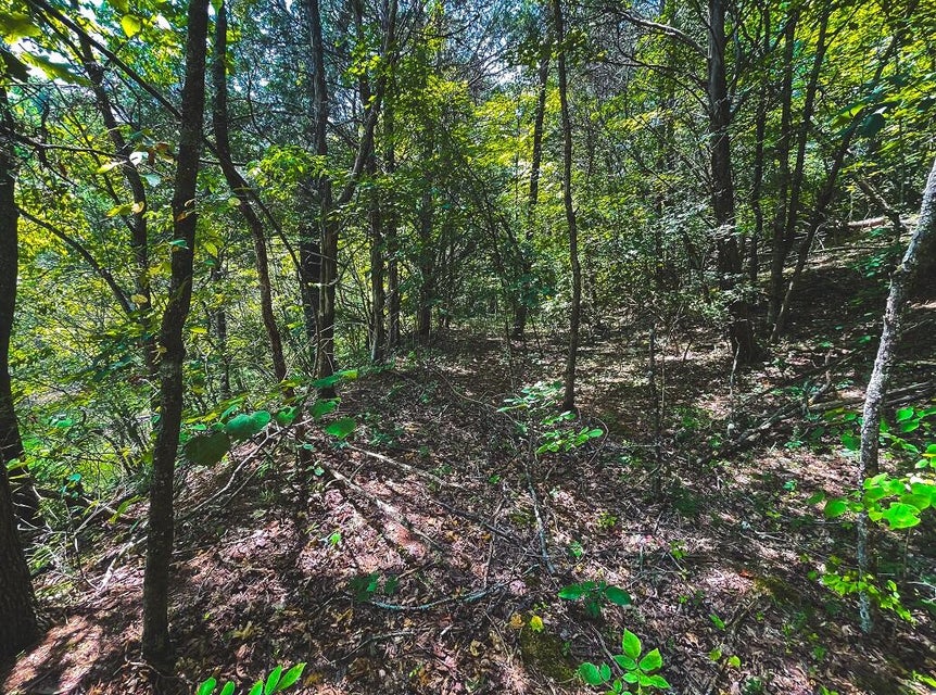 Photo #27: Lot 176 Hill Trail Drive